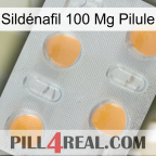 Sildénafil 100 Mg Pilule 24
